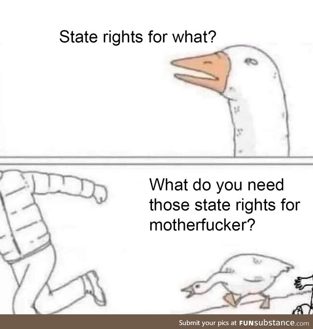 The Secession is for ... Uh. .. Uh.. State rights!