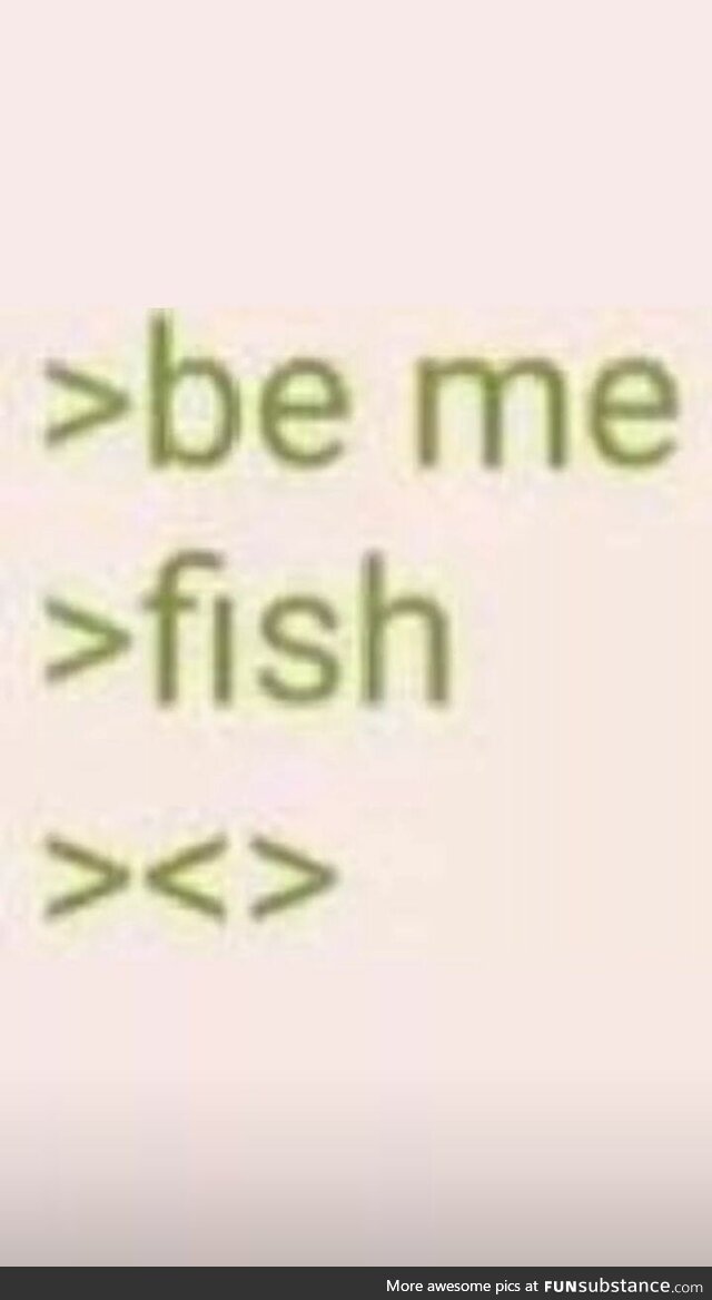 Fish