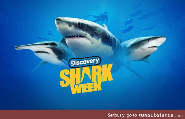 Shark Attack '23 #1 - It's Sharkin' Time!