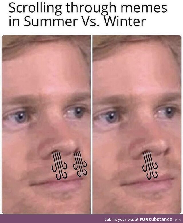 Scrolling through memes in Summer vs Winter