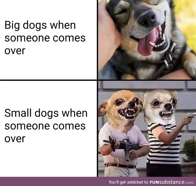 Big dogs vs Small dogs