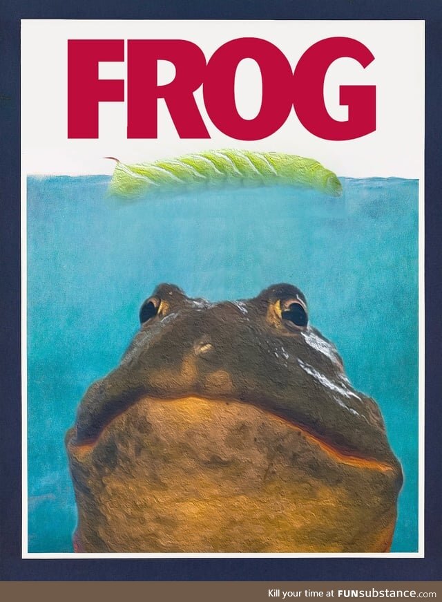 Froggos '23 #217 - Coming this Fall