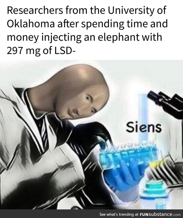 "Hmm. Elephants respond badly to massive doses of LSD...Fascinating."