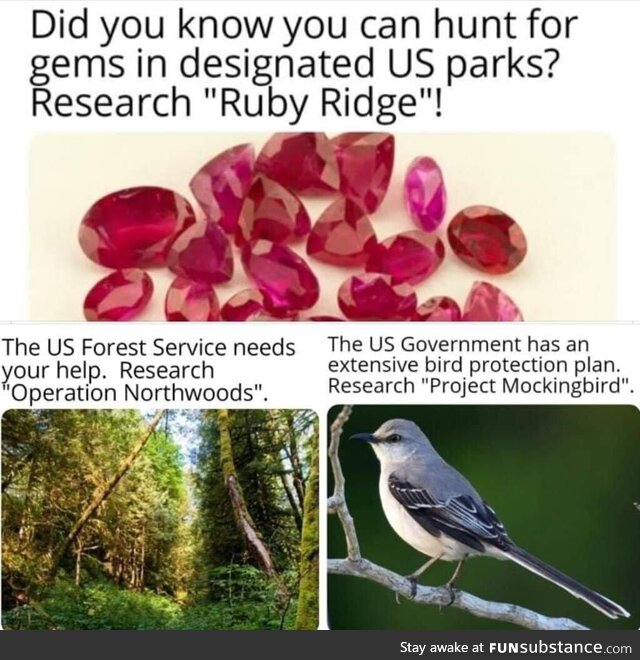 Ruby ridge