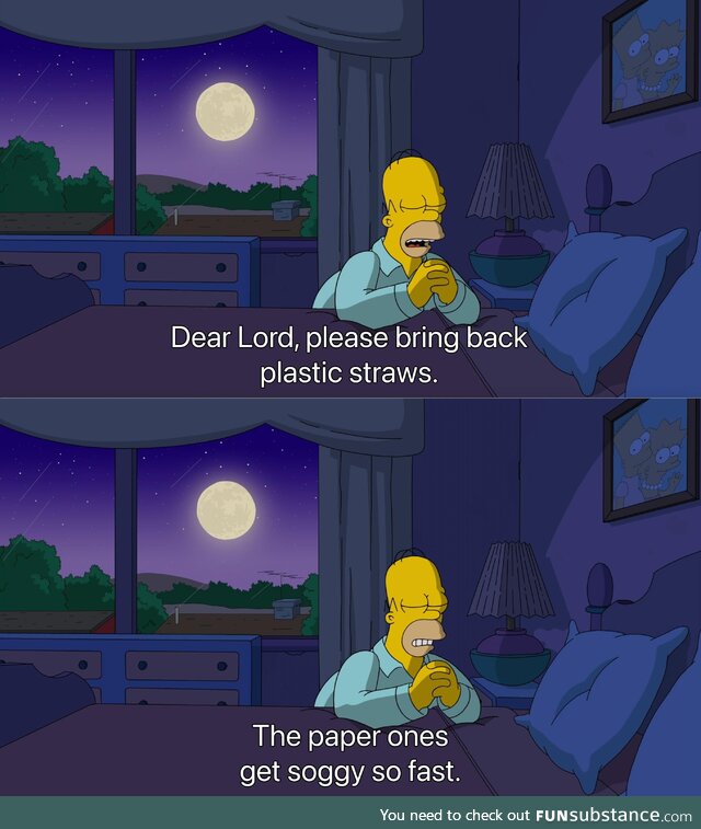 Dear Lord, please bring back plastic straws