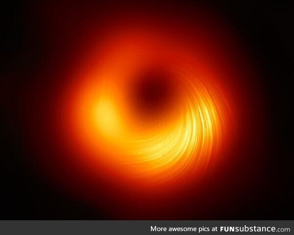 The Event Horizon Telescope collaboration, who produced the first ever image of a black