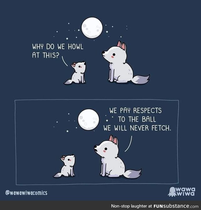 No fetch!