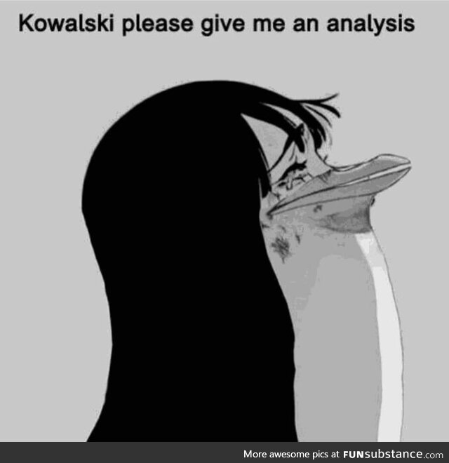 Kowalski plz