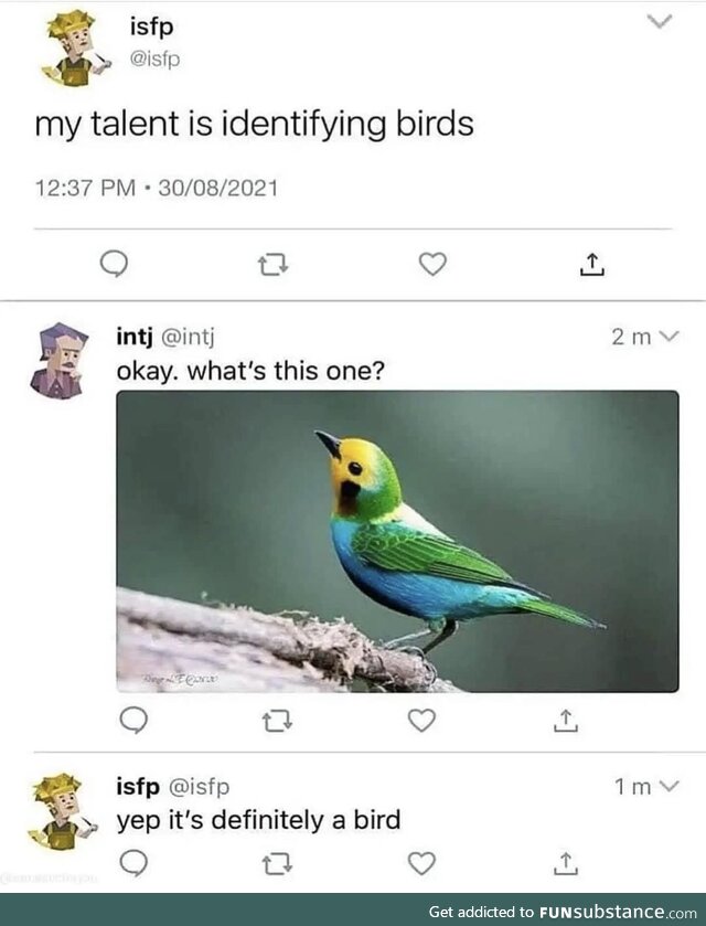 Definitely a bird