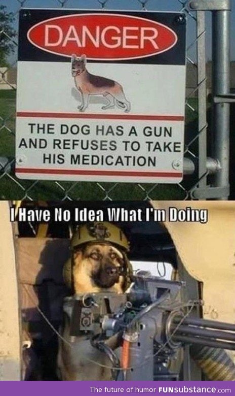 A dog of war