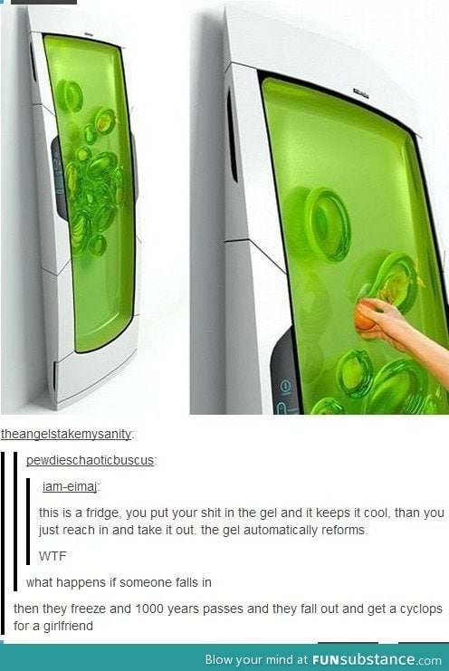 This fridge is special