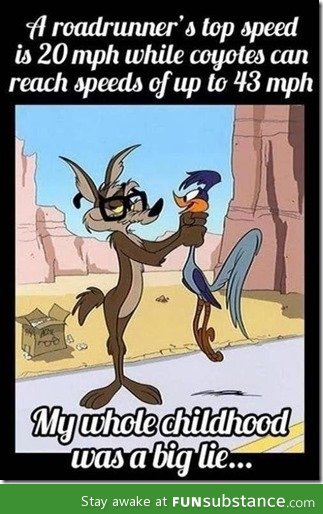 If only Wile E. Knew