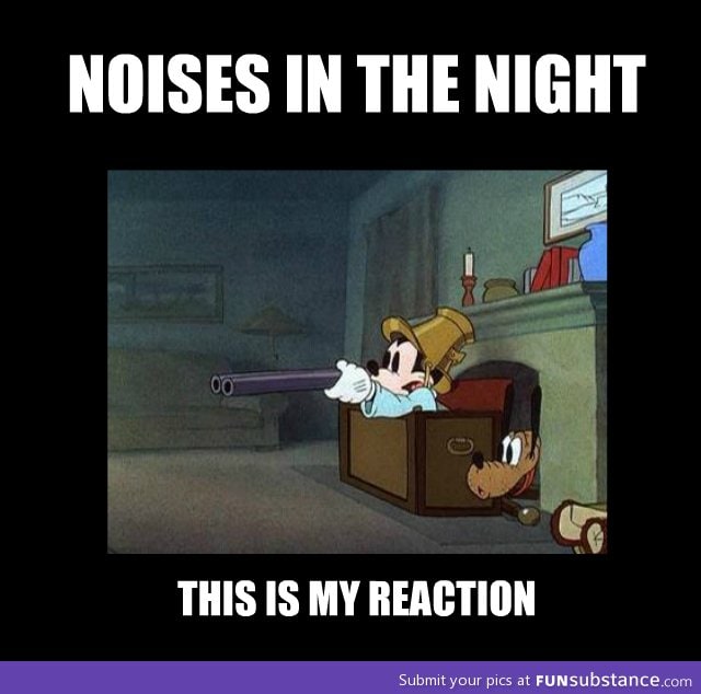 Whenever I hear noises in the night