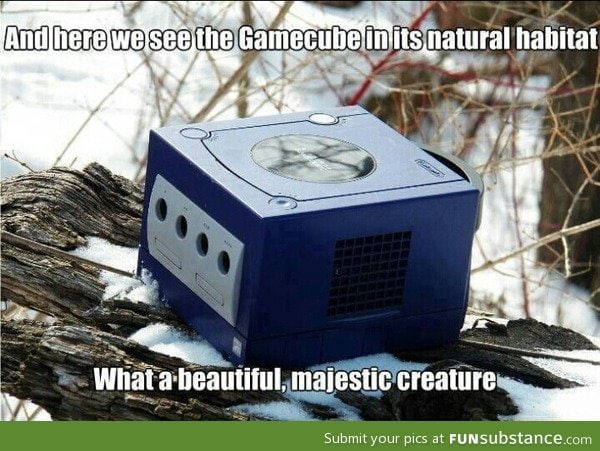 They should make the GameCube be a legendary pokemon