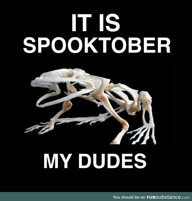Froggos '23 #275/Spooktober Day 11 - The People Must Know