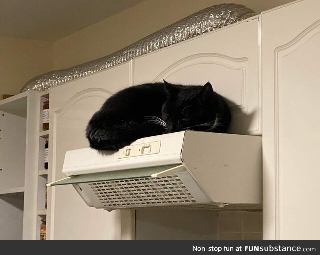 Cats sleep in odd places. There was no heat here when he decided to sleep