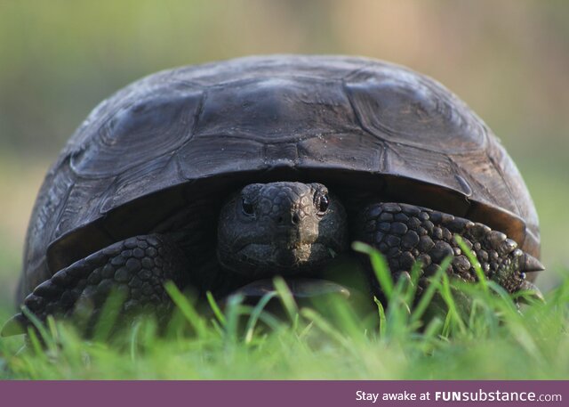 I was hiking with my camera and made a new friend. His name is Frank. I love Frank