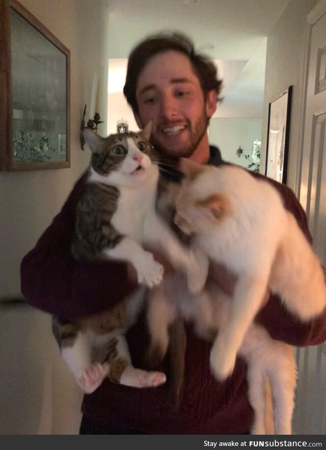 I attempted to take a pic with all 3 of my cats