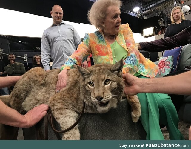 Betty White holding a cat
