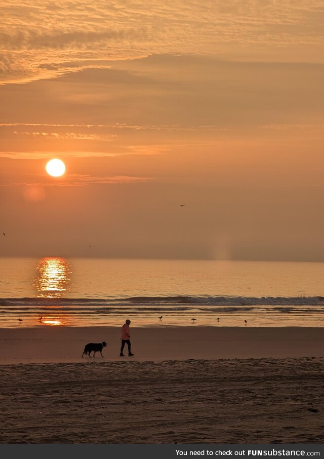 Early morning dog walk, beautiful sunrise