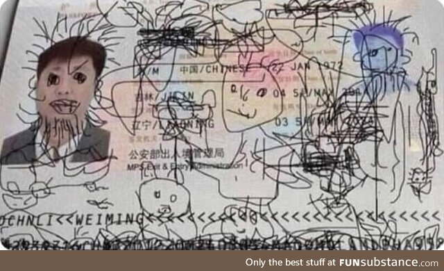 Chinese father whose passport was doodled by his 4-year-old son is stranded in South