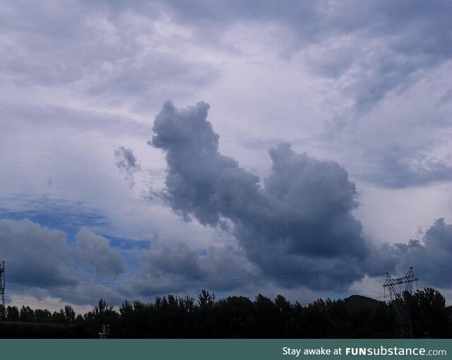 Look at this photo, the cloud really looks like a fox!