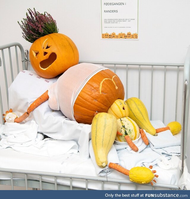 Carved pumpkins by Danish midwives at local hospital