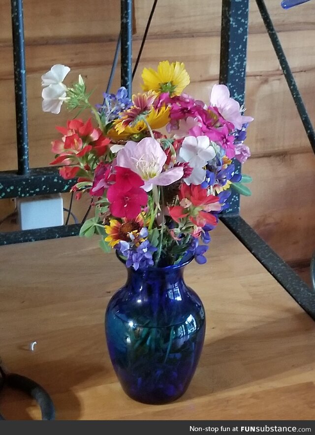 Drove all over Texas today enjoying the wildflowers. Decided to pick a few for my mom