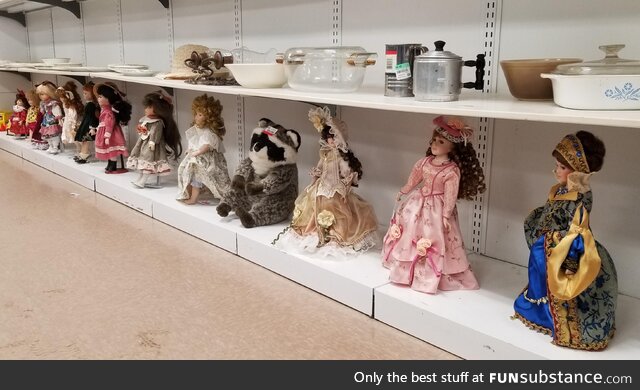 It has been 267 days and the dolls do not suspect, that I am in fact, a raccoon