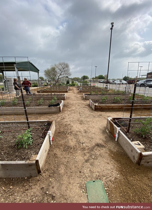 All the food we grow will be donated to our local food bank. “OC”