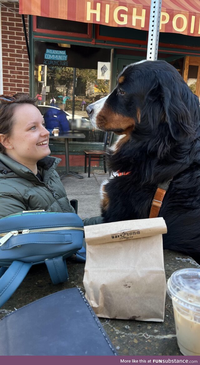 My very small best friend made friends with a very large dog