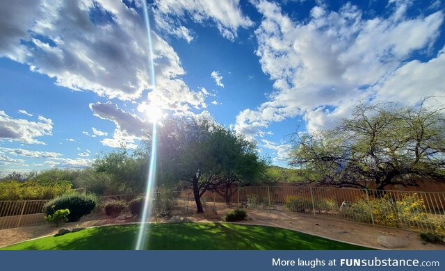 [OC] my back yard today in Arizona