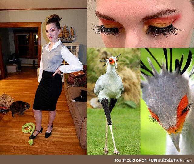 I was a Secretary Bird for Halloween