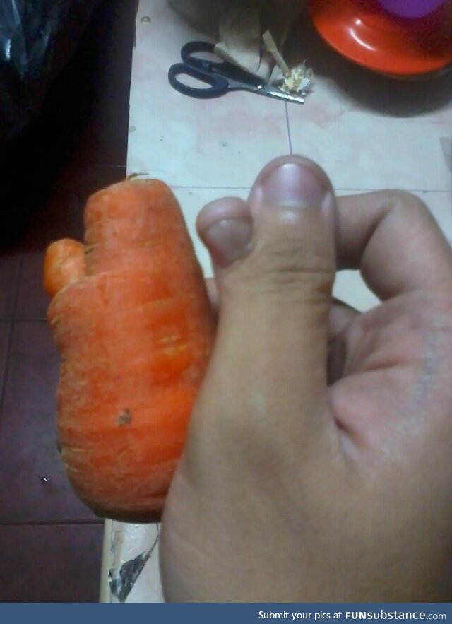 [OC] The Carrot my mom just bought at our Local Market shares the same shape as my