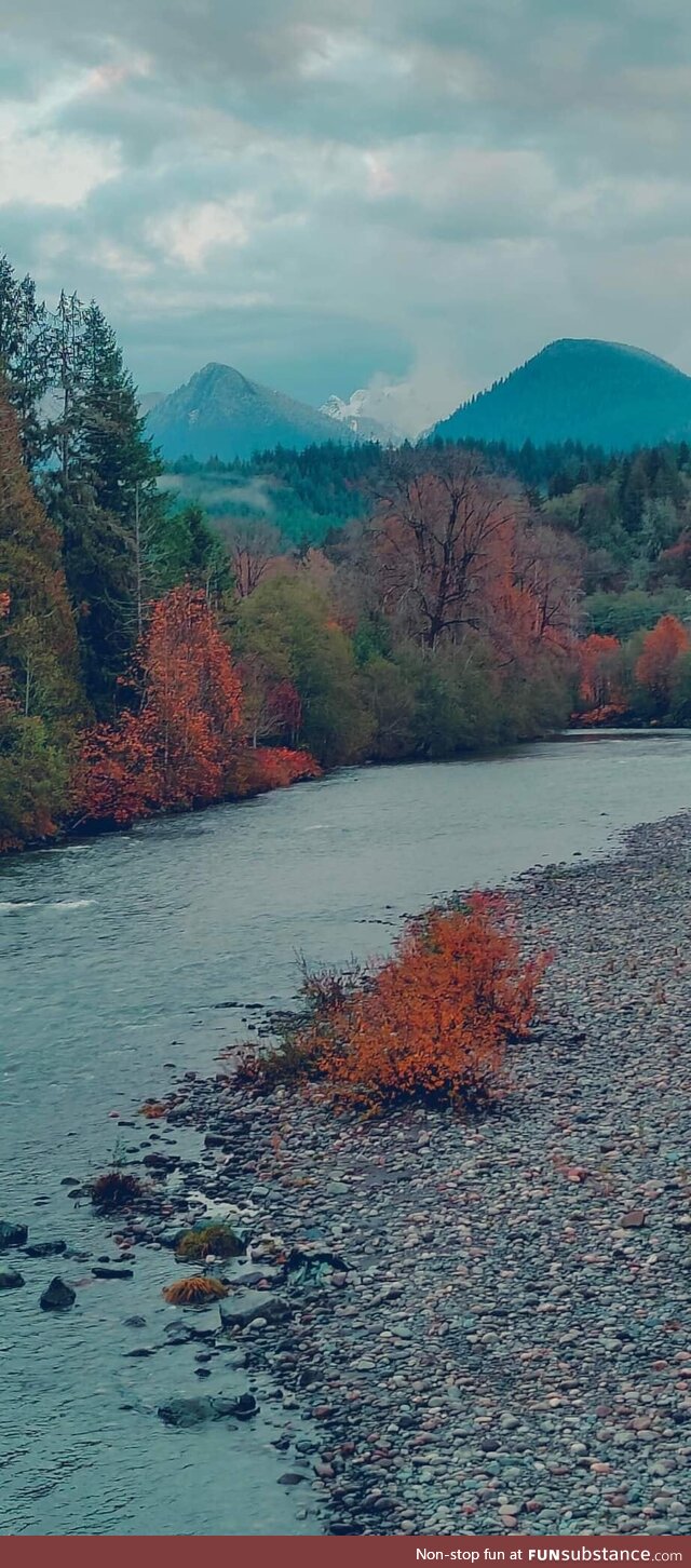 Stillaguamish River, Oso, WA right behind my house