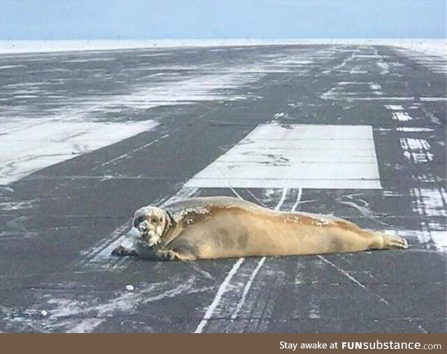 Alaskan flight delay
