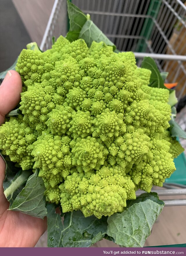 Fractal broccoli is insane
