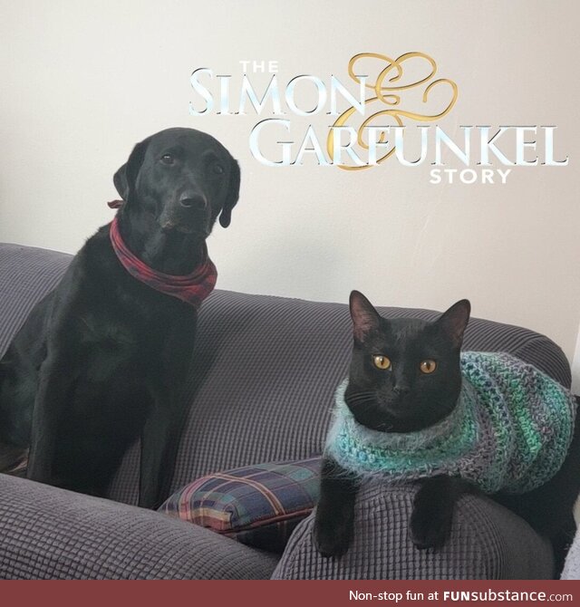 I thought this picture of my pets looked like an album cover so I made it one