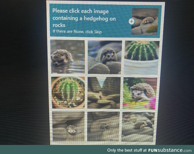 My friends Captcha for logging into her Epic account