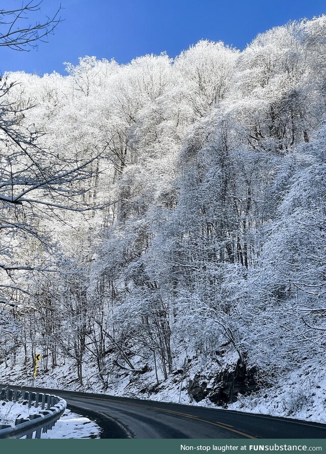 Snow slowly melting under the bright sunlight