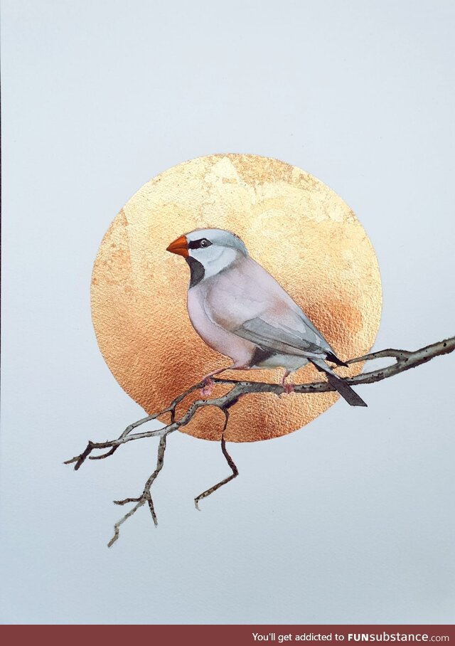 A Finch I painted