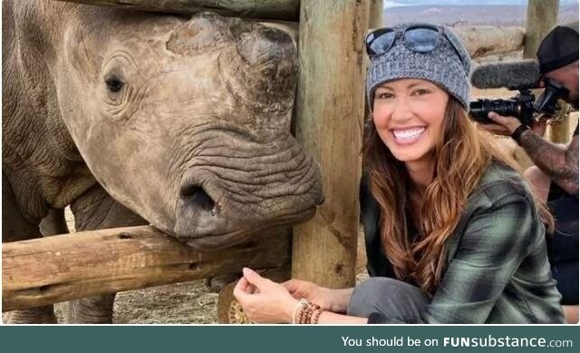 Shannon elizabeth and a rhino