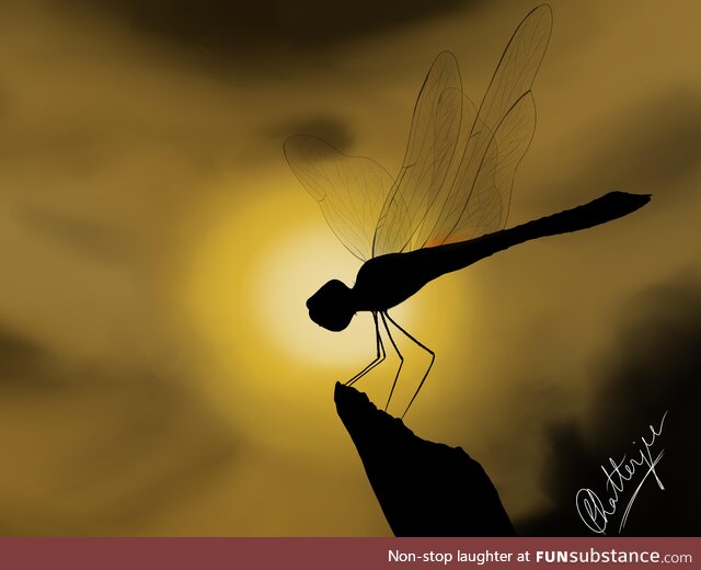  fly before the setting sun  [digital painting, 2022]