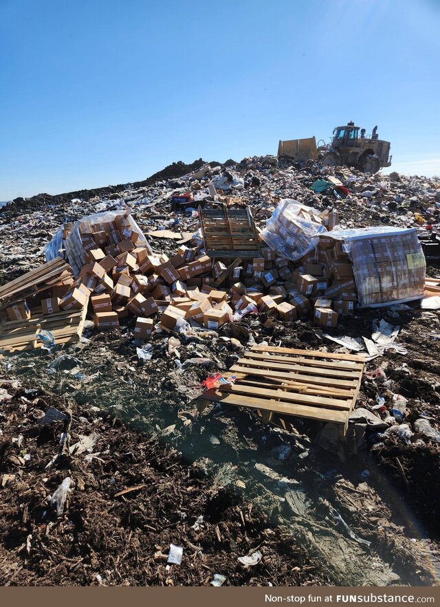 Someone threw away 6 pallets of Magic TG cards at my local city landfill