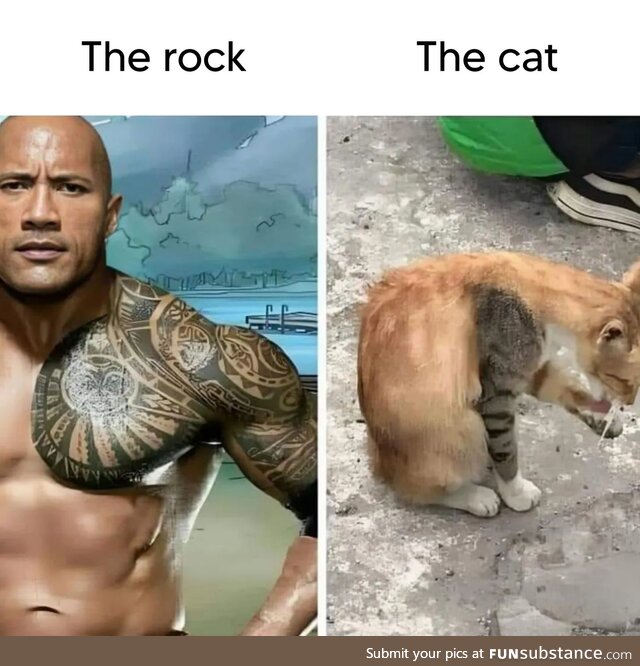 Dwayne "The p*ssy" Johnson