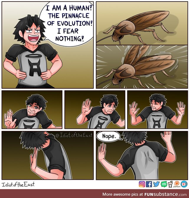 c*ckroaches are not that terrifying... Until they start flying