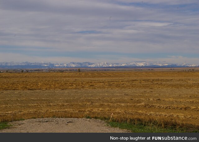 The view from Highway 2, about 30 minutes south of Calgary