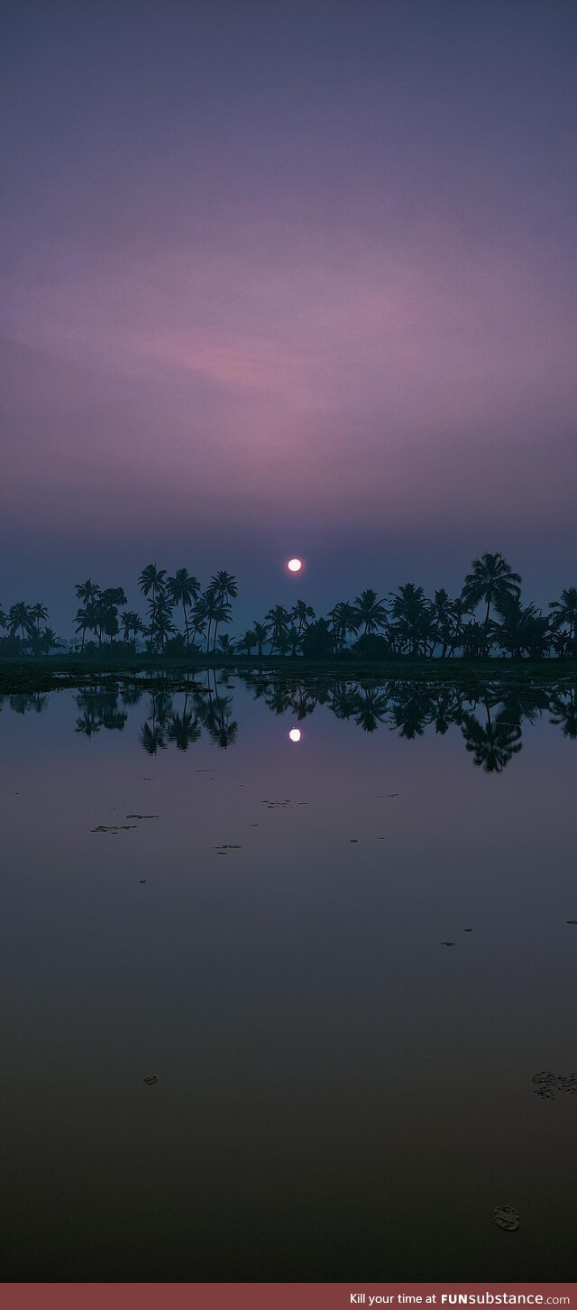 A blissful evening sight from Kerala backwaters. [OC]