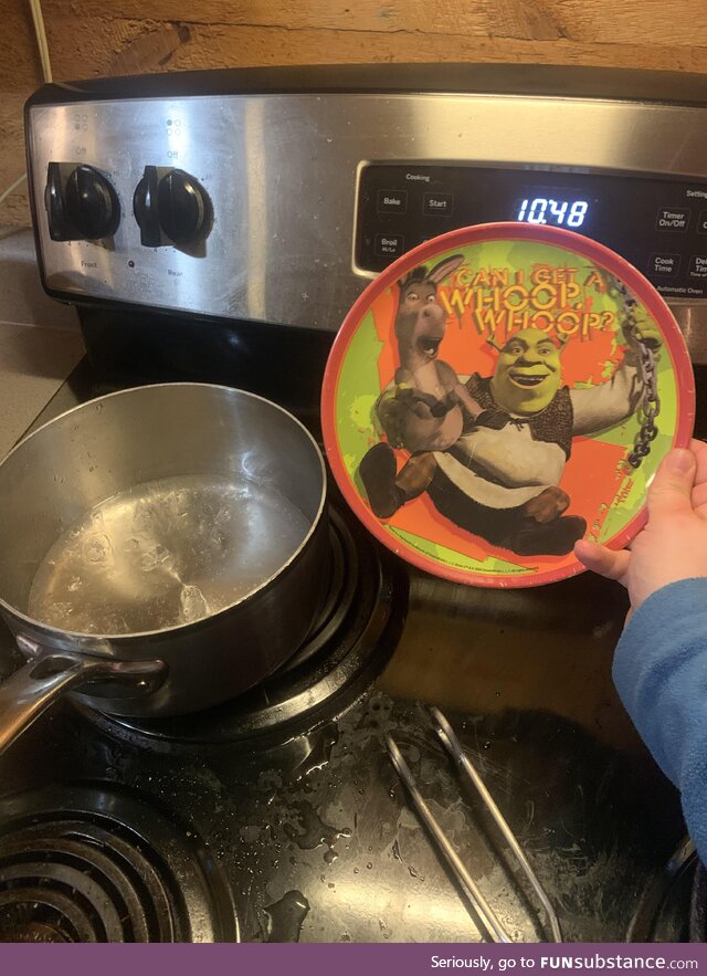 I posted about my husbands shrek plate getting stuck perfectly in my pot. Well, shrek