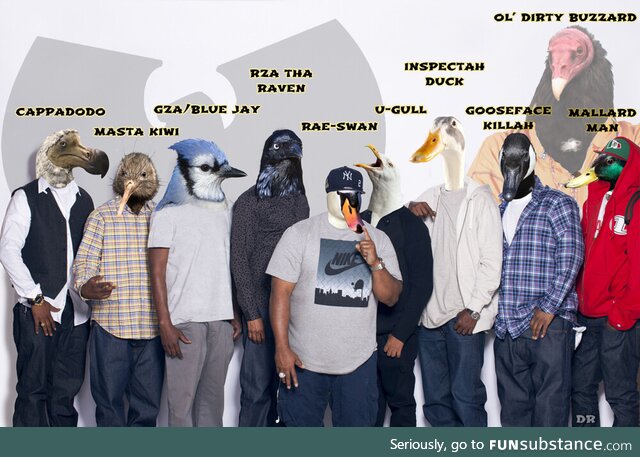 I made the Wu-Tang clan as birds